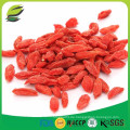 Ningxia Bio getrocknete Goji Beeren